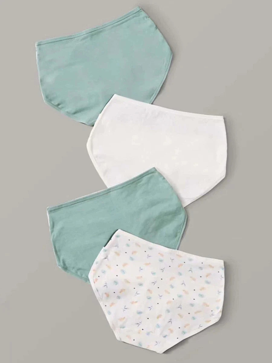 Premium Imported Underwear - Women Pack Of 4 Briefs