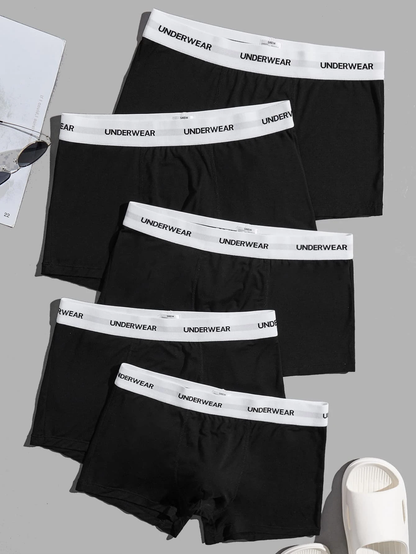 Premium Imported Underwear - Men Pack Of 5 Trunks